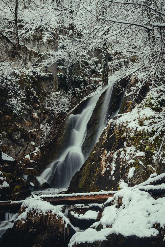 Photograph by Антон Бойков