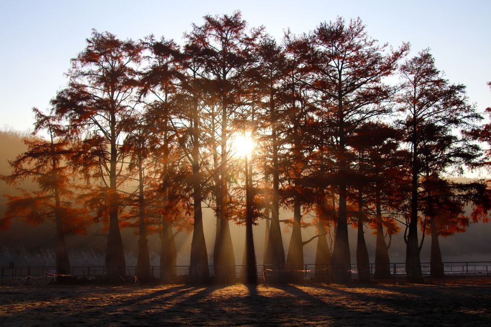 Photograph by Evgeny M