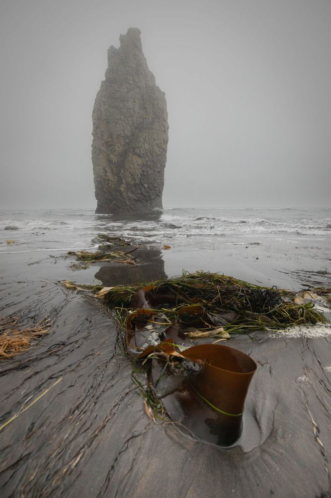 Морская капуста в непогоду