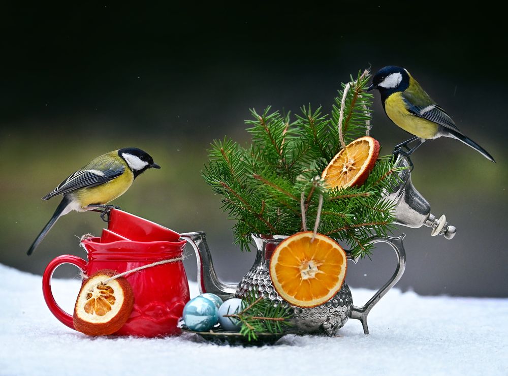 Photograph by Анна Чернобай