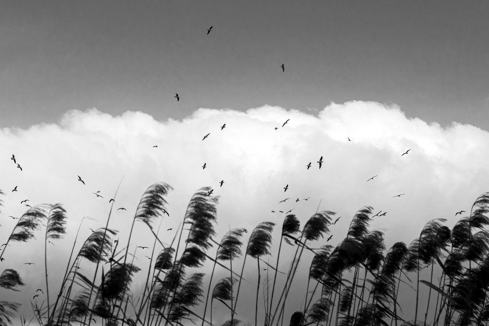 Photograph by Amirhossein Yousefi Keysari