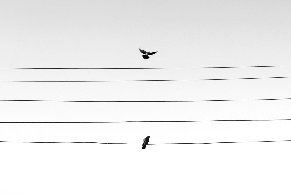 Photograph by Amirhossein Yousefi Keysari