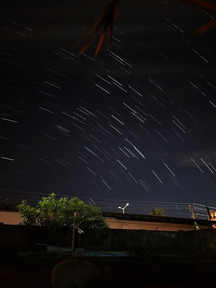 Photo #8792542
