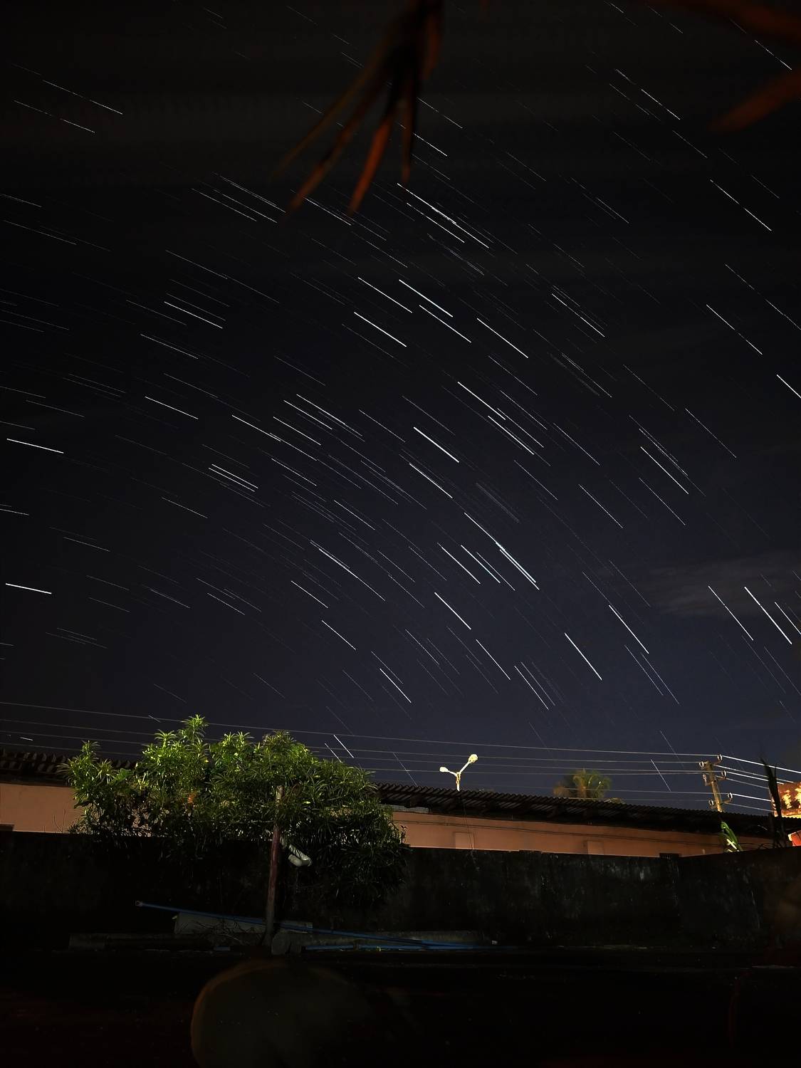 Photo #8792542