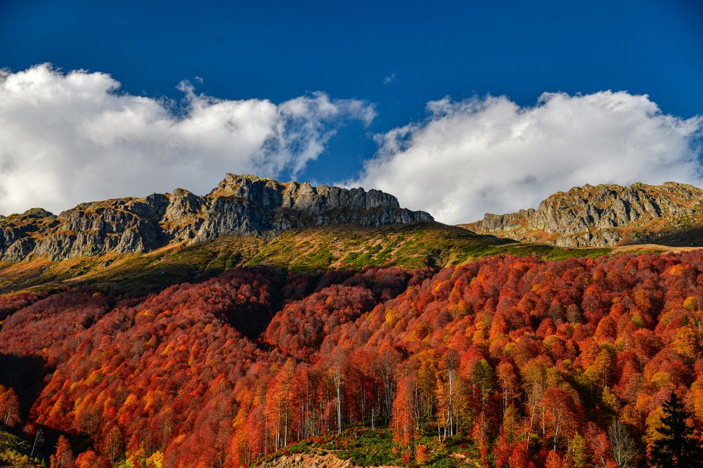 Горная осень