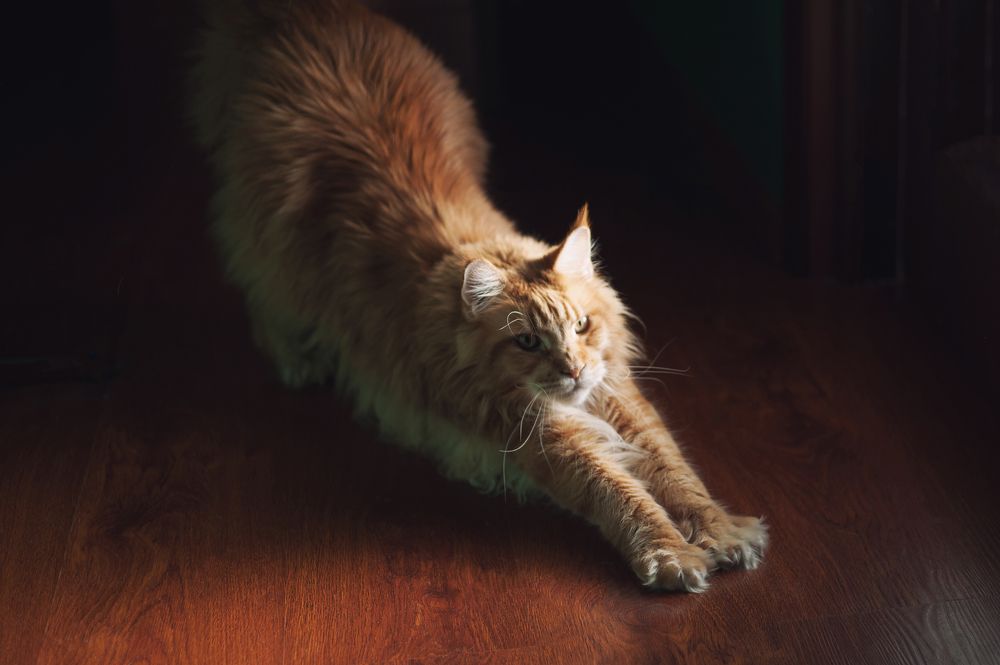 Photograph by Зацаринная Мария