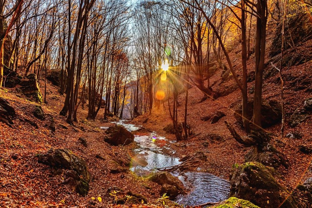 Photograph by Илия Атанасов