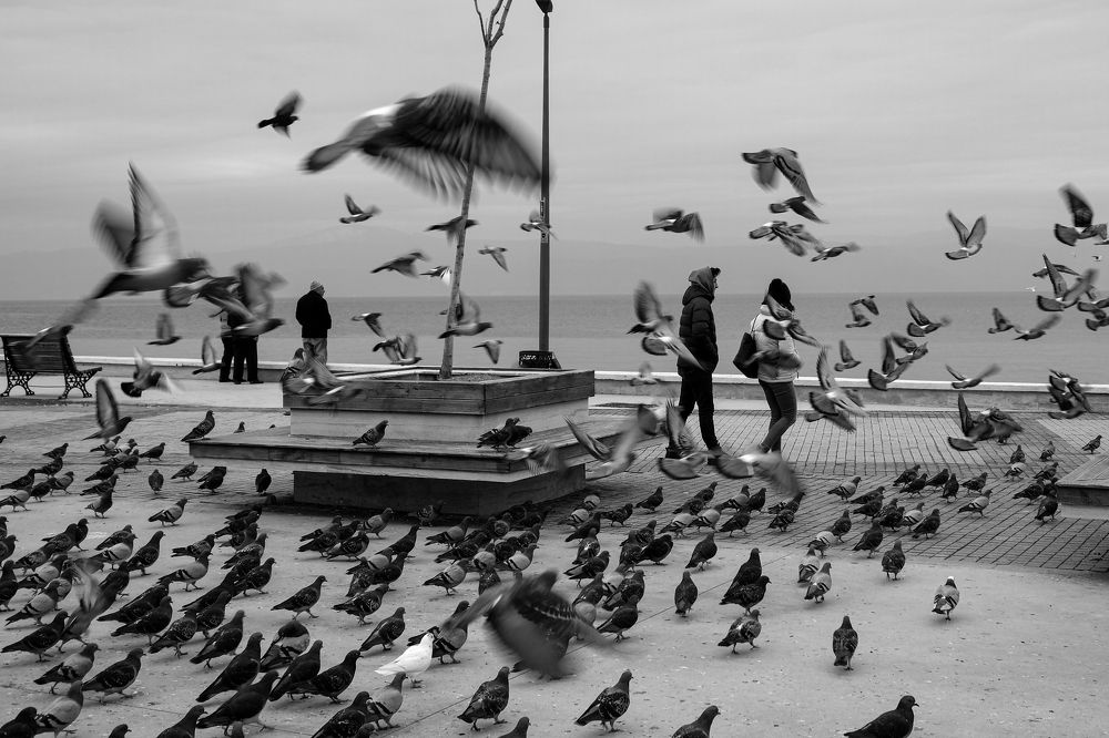 Photograph by İNCİ KOYUNCU