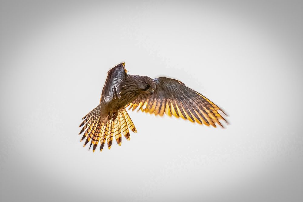 Photograph by Jozef Lepáček