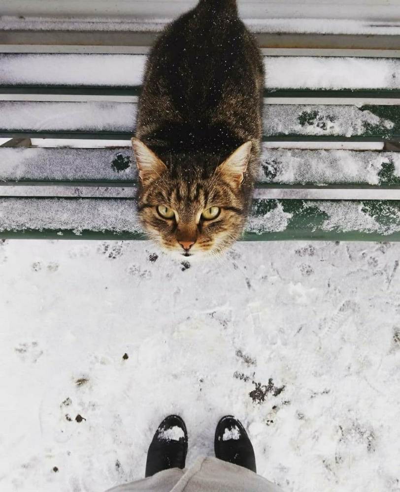 Photograph by Полина Тимофеева