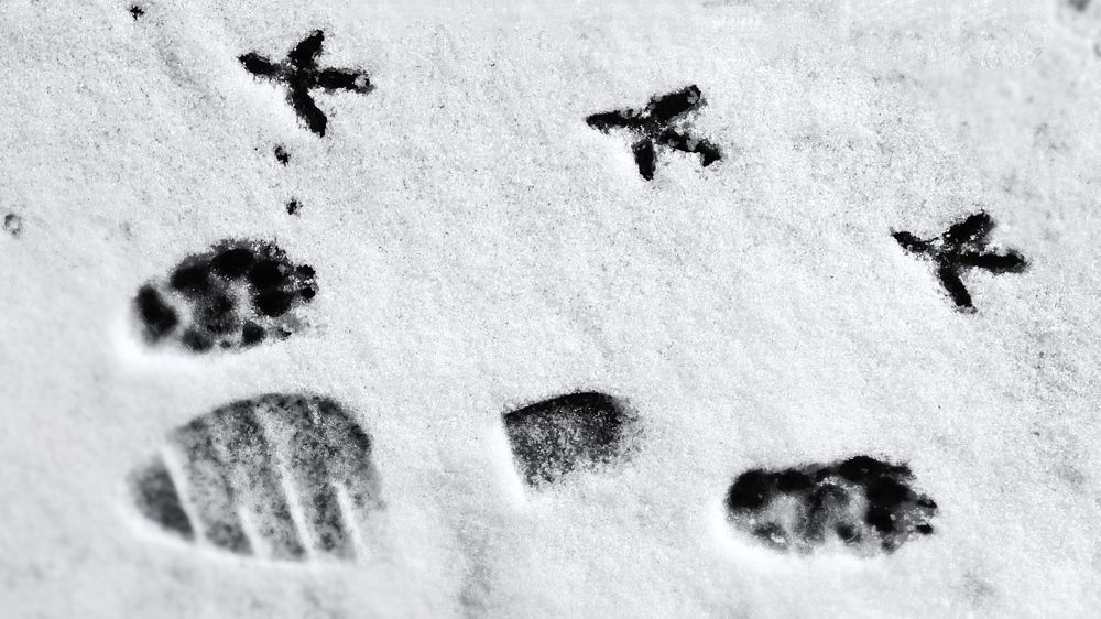 Photograph by Олеся Белова