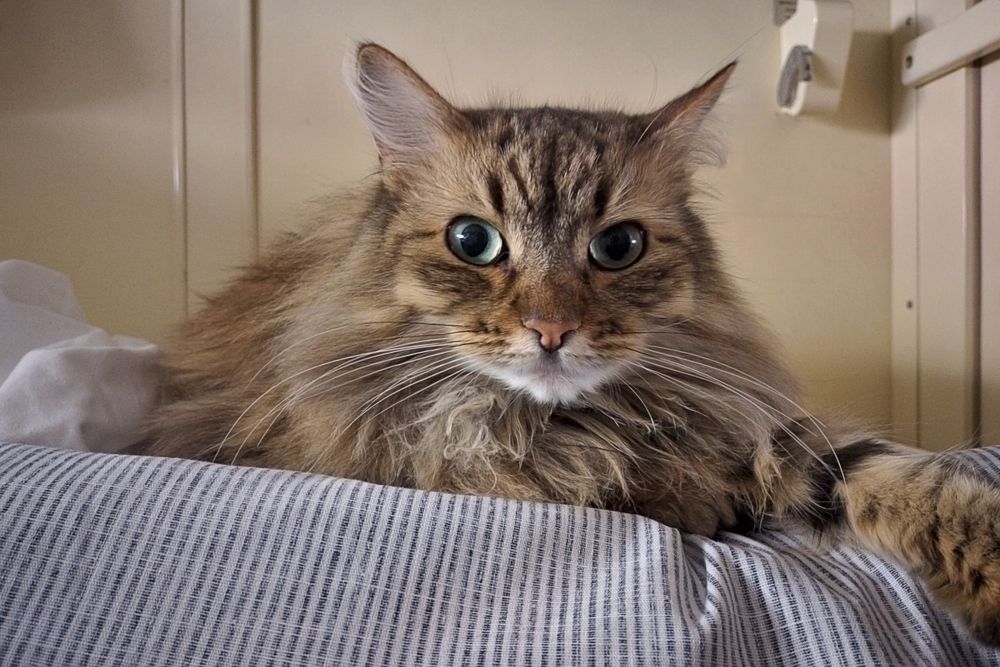 Photograph by Евгений Беленков