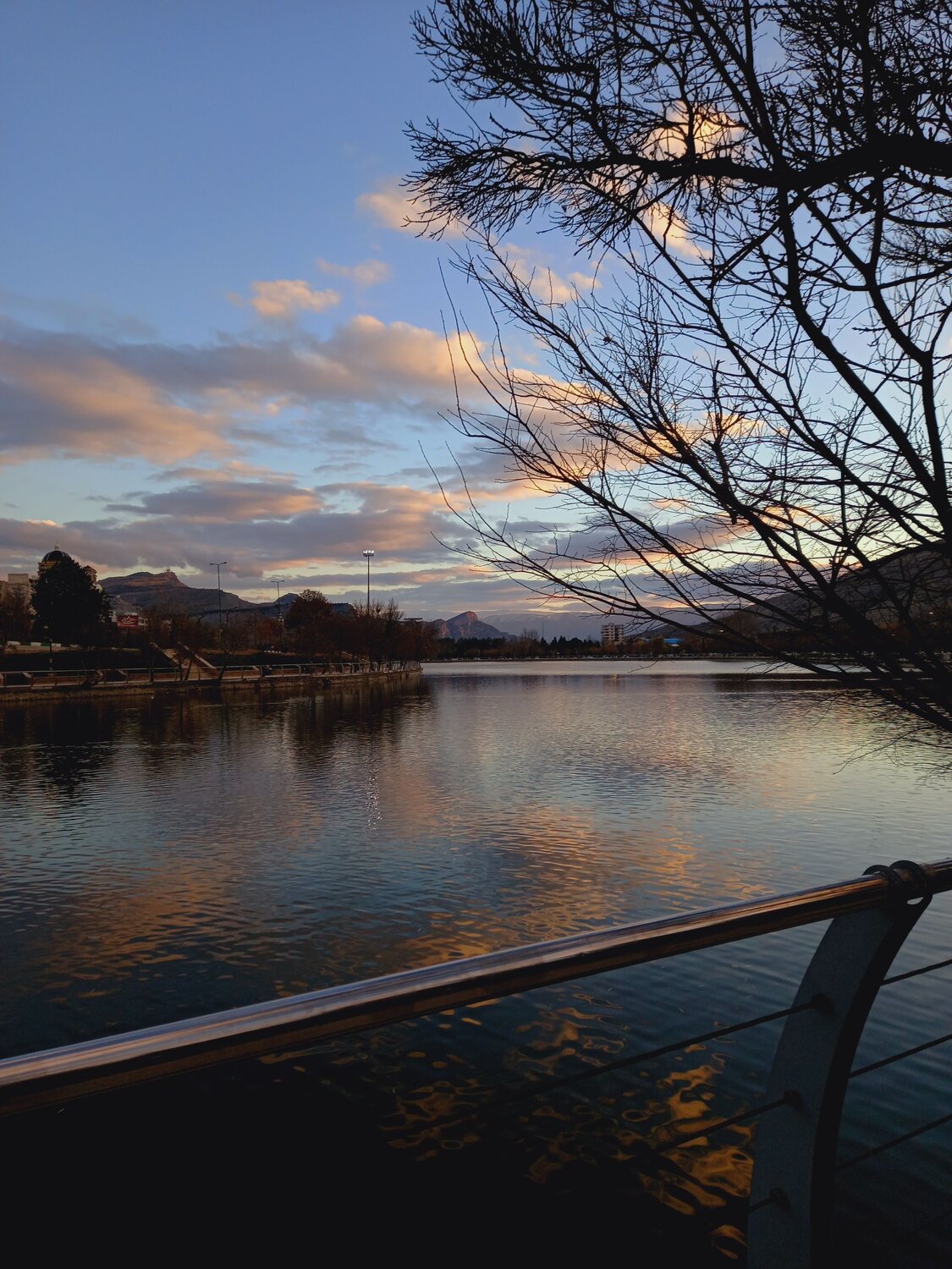 Photo #8792777