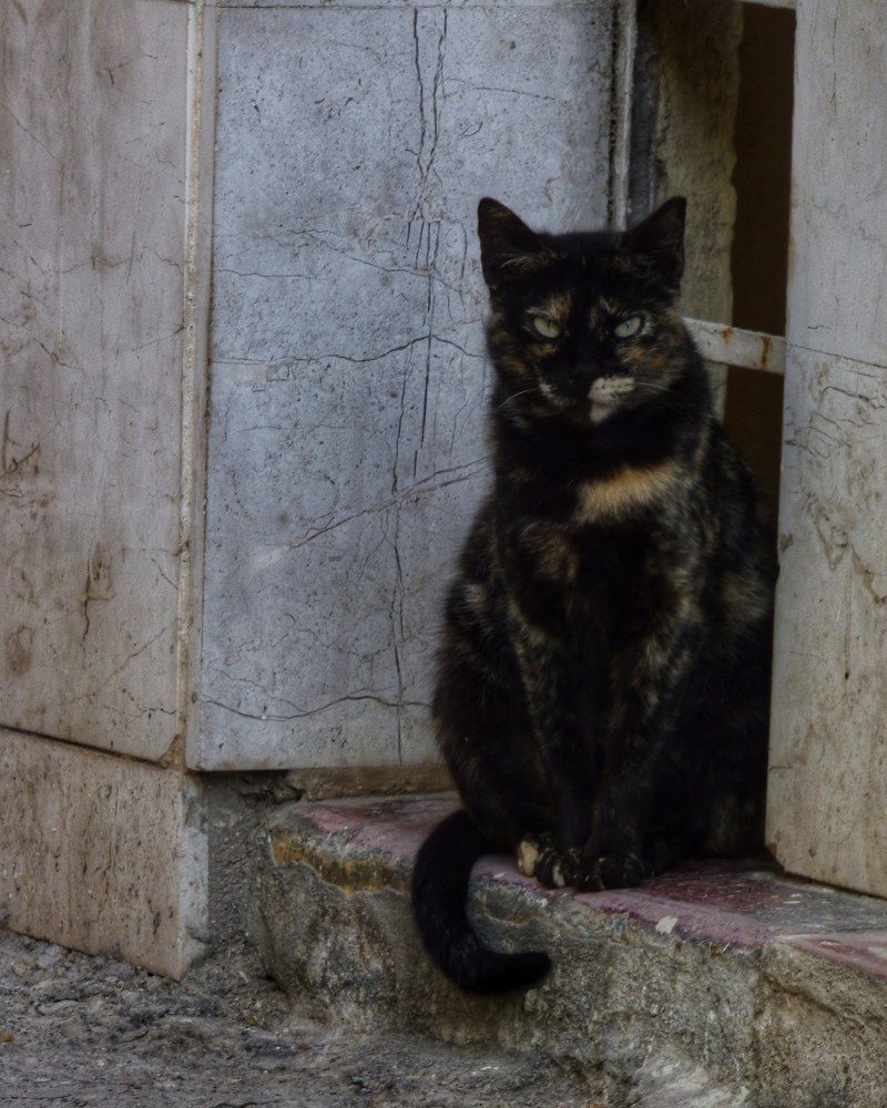 Photograph by Omar Julio Valenzuela Moldes