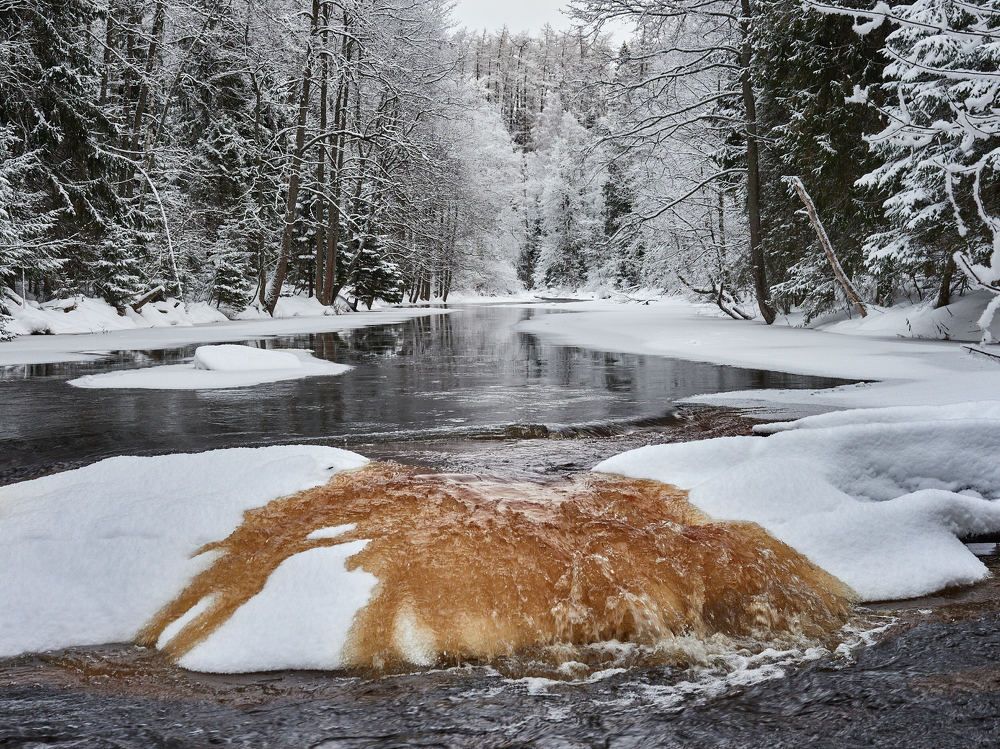 Photograph by Александр Авдушев