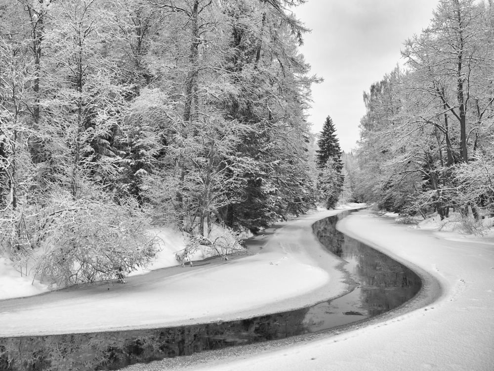 Photograph by Александр Авдушев