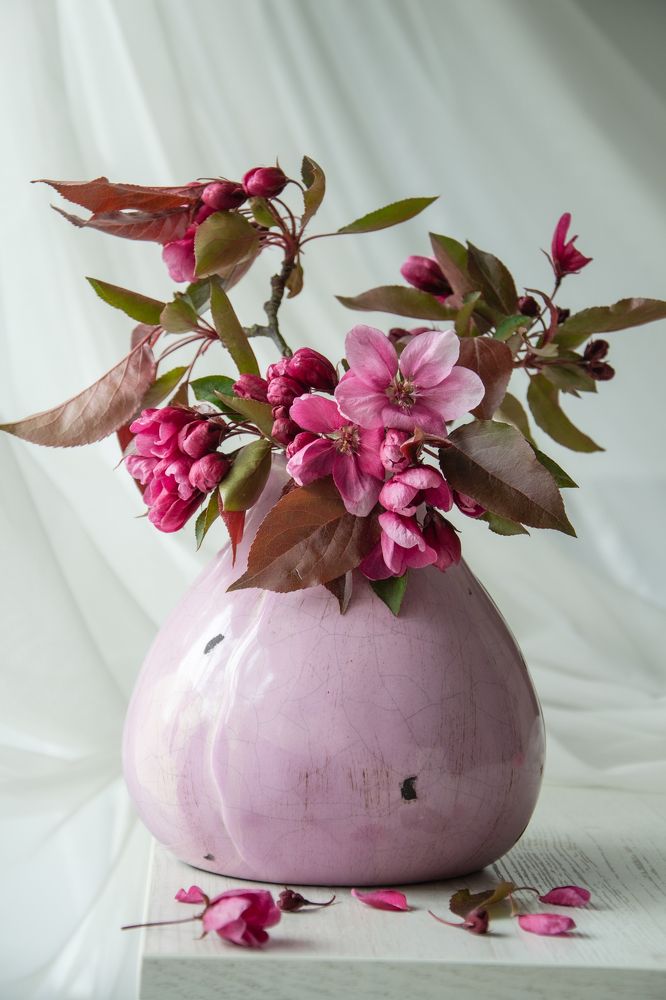 Photograph by Ирина Степанова