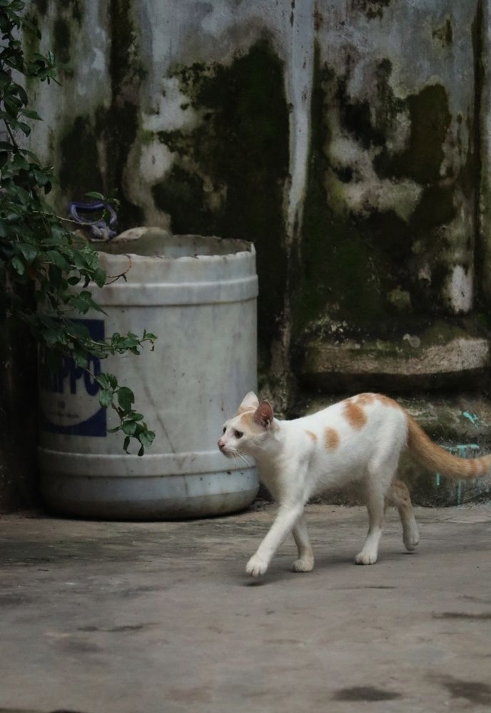 Photograph by Shayeri Das