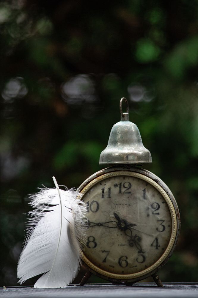 Photograph by Ирина Степанова