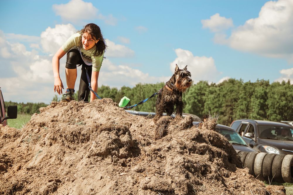 Мы вместе! Соревнования Хвостатый драйв.