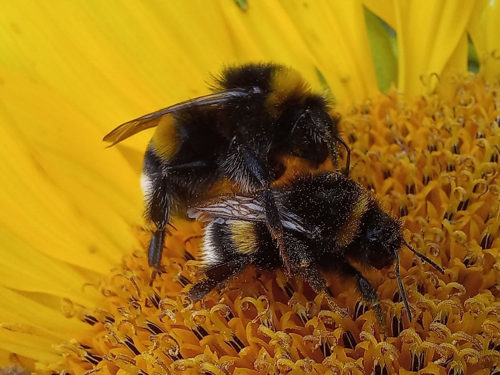 Photograph by Евгений Савулькин
