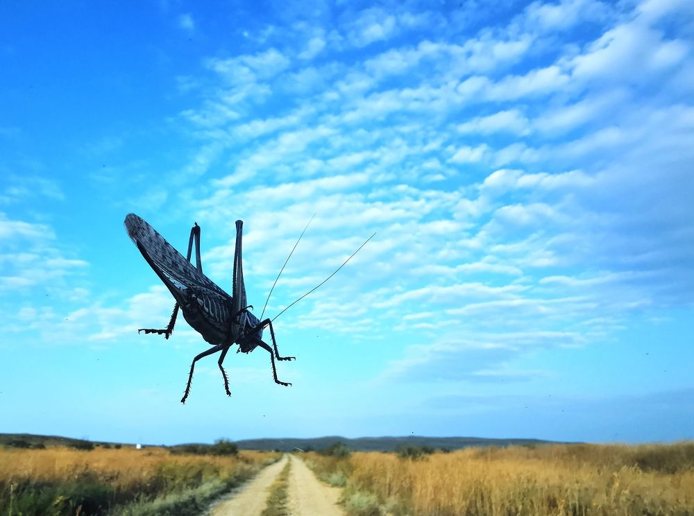 Photograph by Ирина Хромова