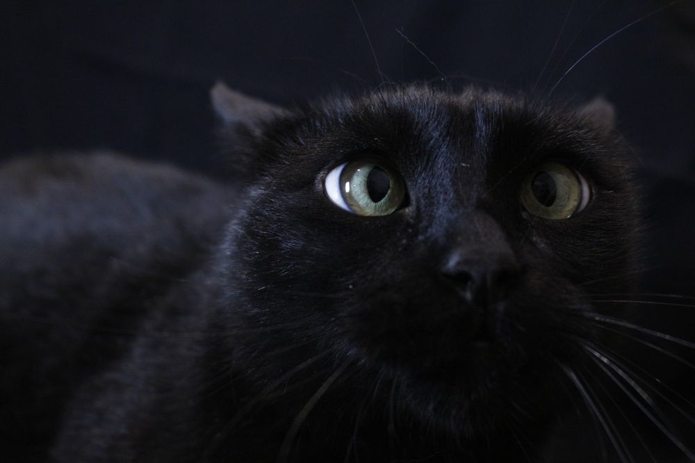 Photograph by ирина