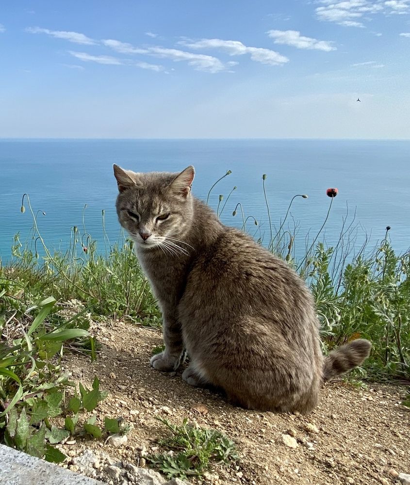 Photograph by Анна Лепихина