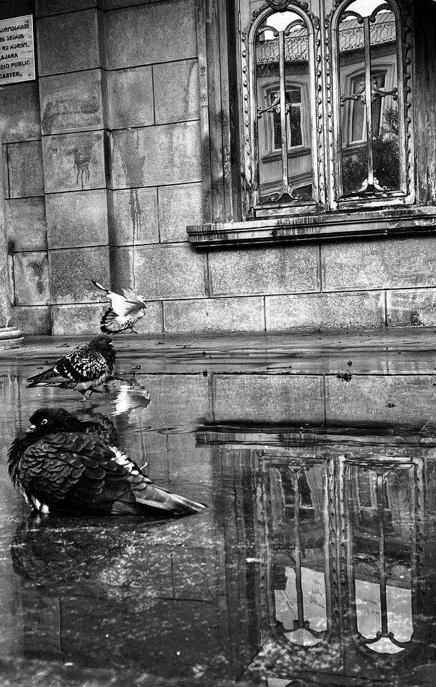 Фотография автора iako kunchulia