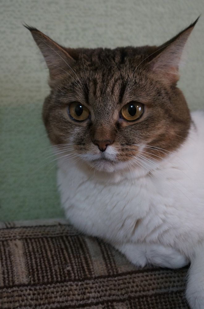 Photograph by Яна Цицилашвили