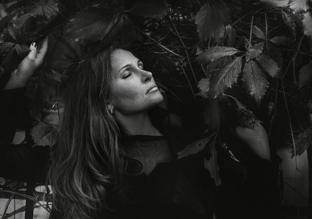 Фотография автора Alexandr Volkov