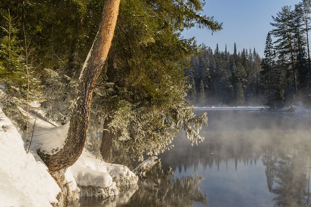 Фотография автора Галина Луценко
