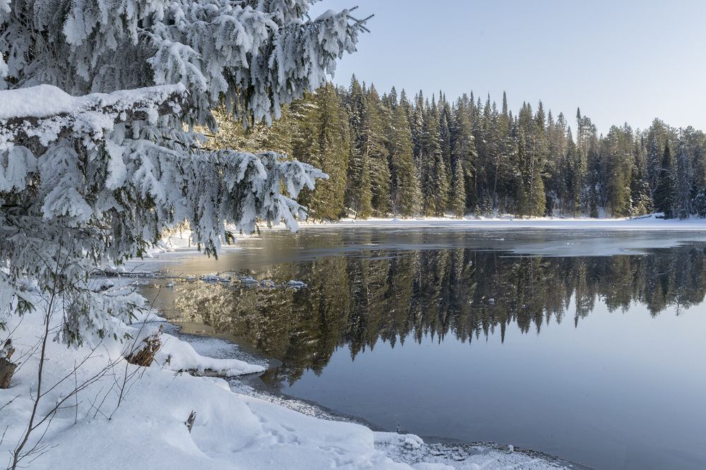 Фотография автора Галина Луценко