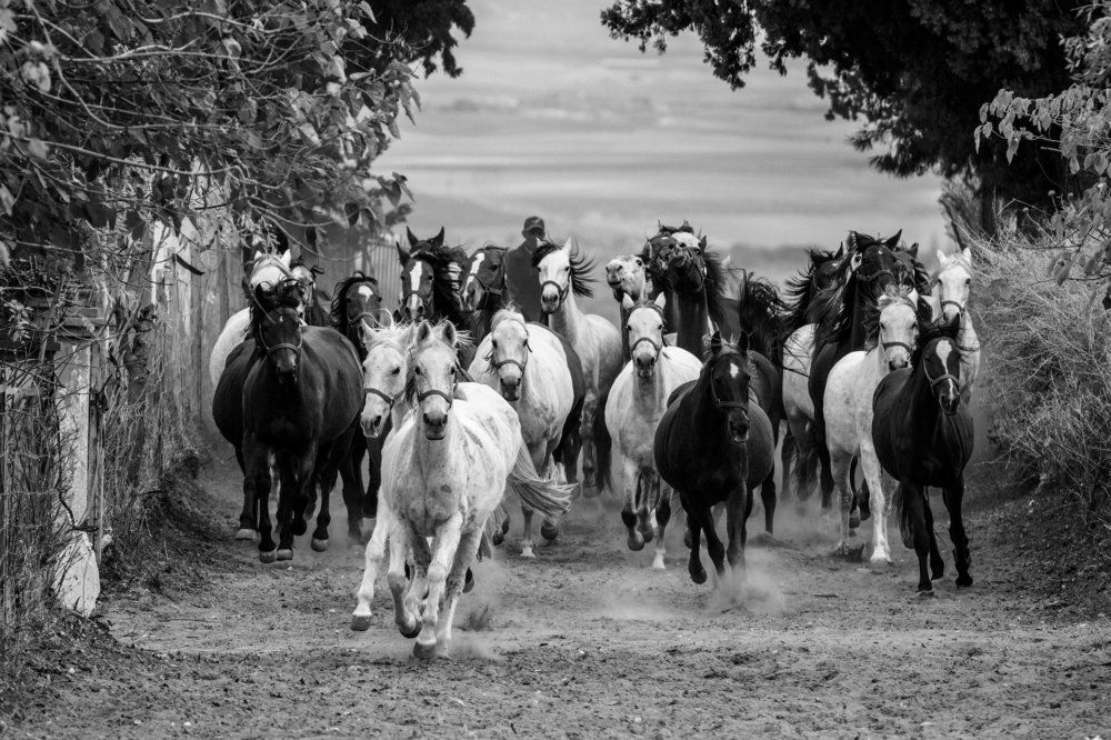 Photograph by KHALIFA MOHAMED