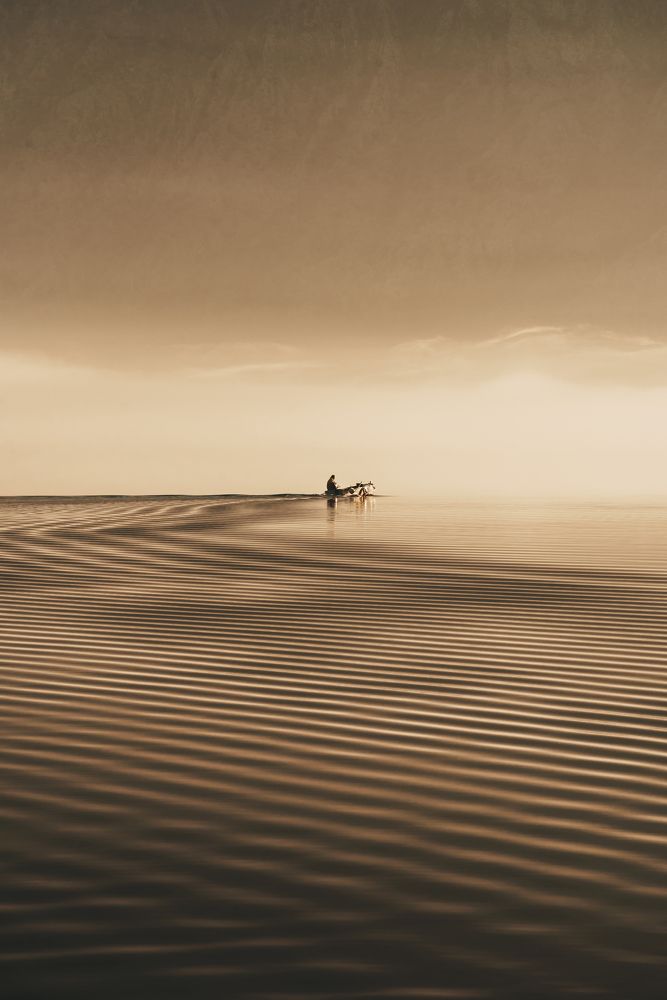 Photograph by Danica Markez