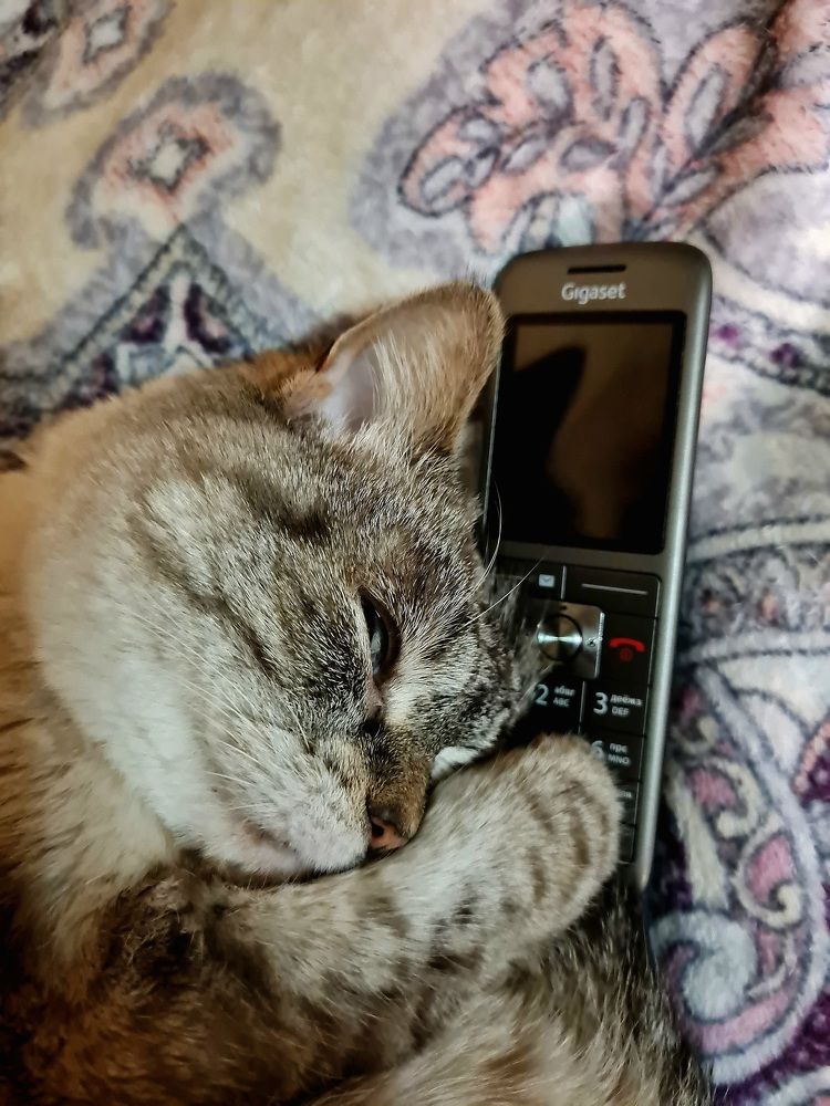 Позвони мне, позвони!