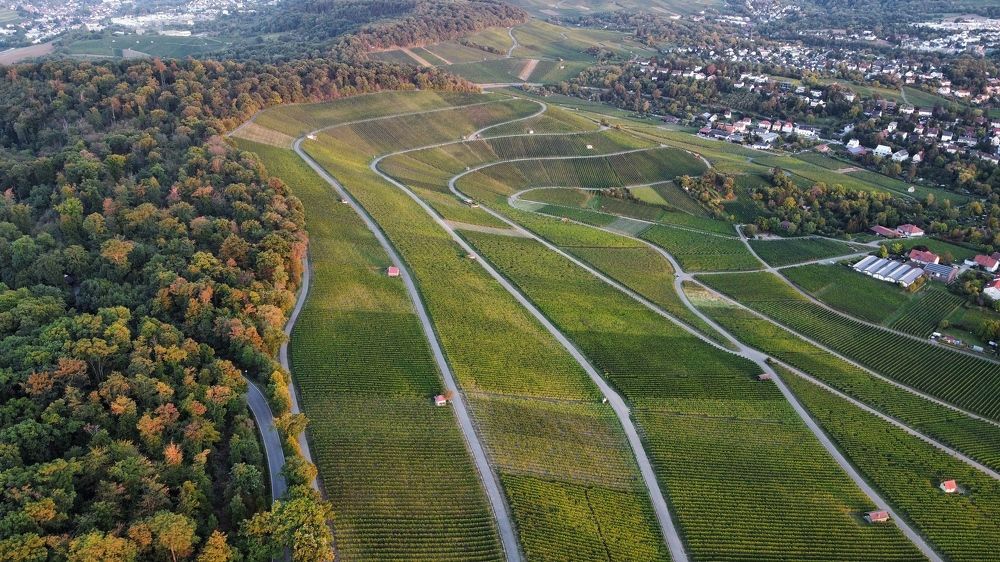 Photograph by Alexander Siemens