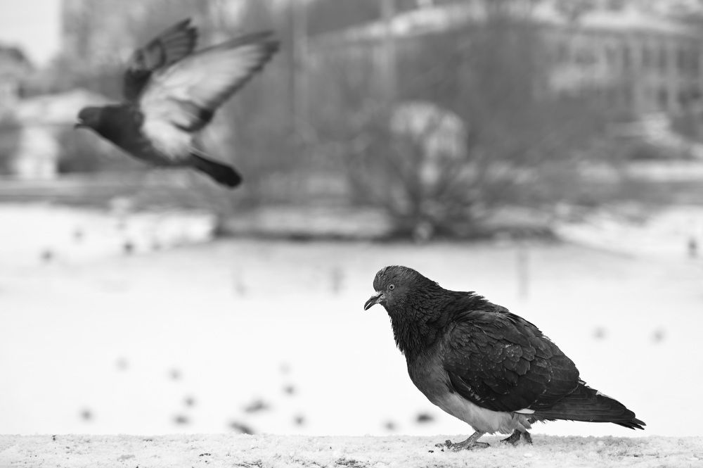 Photograph by Анастасия Маклакова