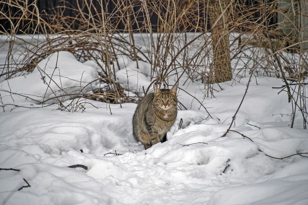 Photograph by Valery Kleymenov