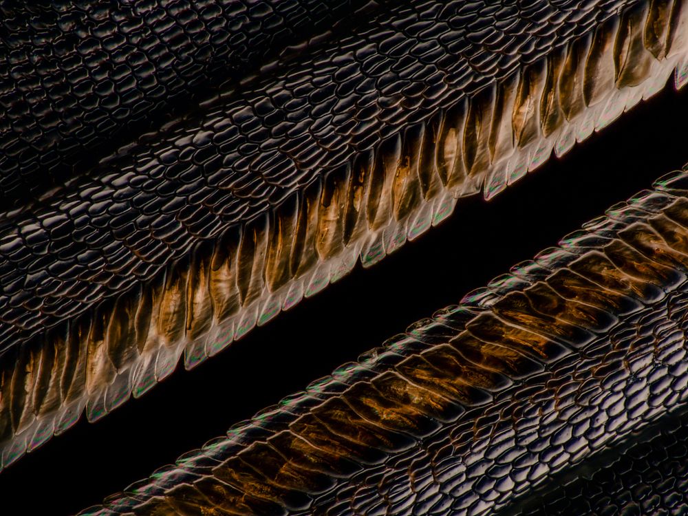 Photograph by 袁稷