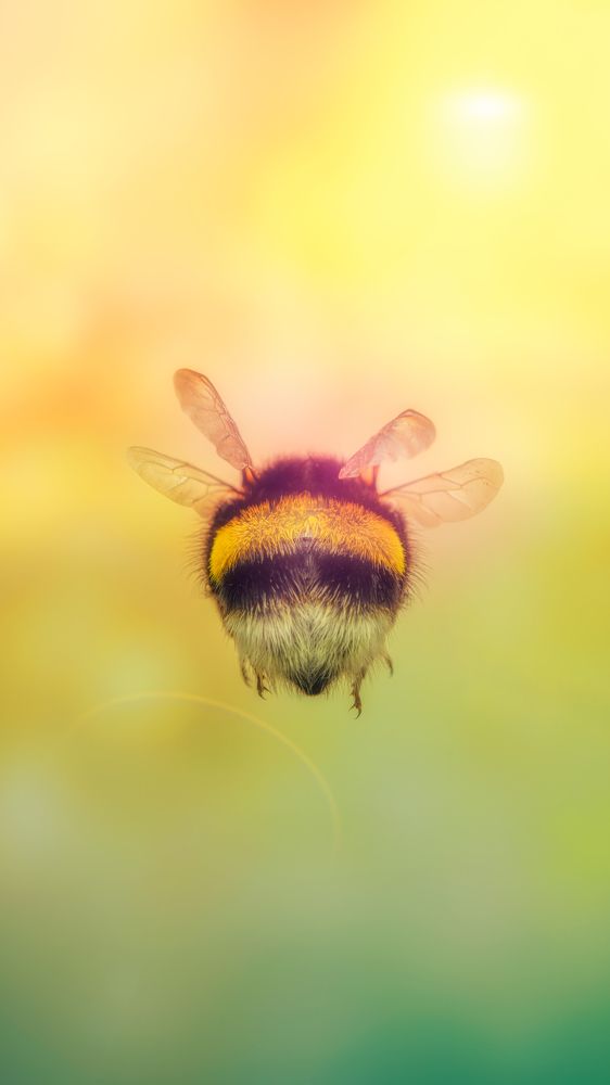 Photograph by 袁稷