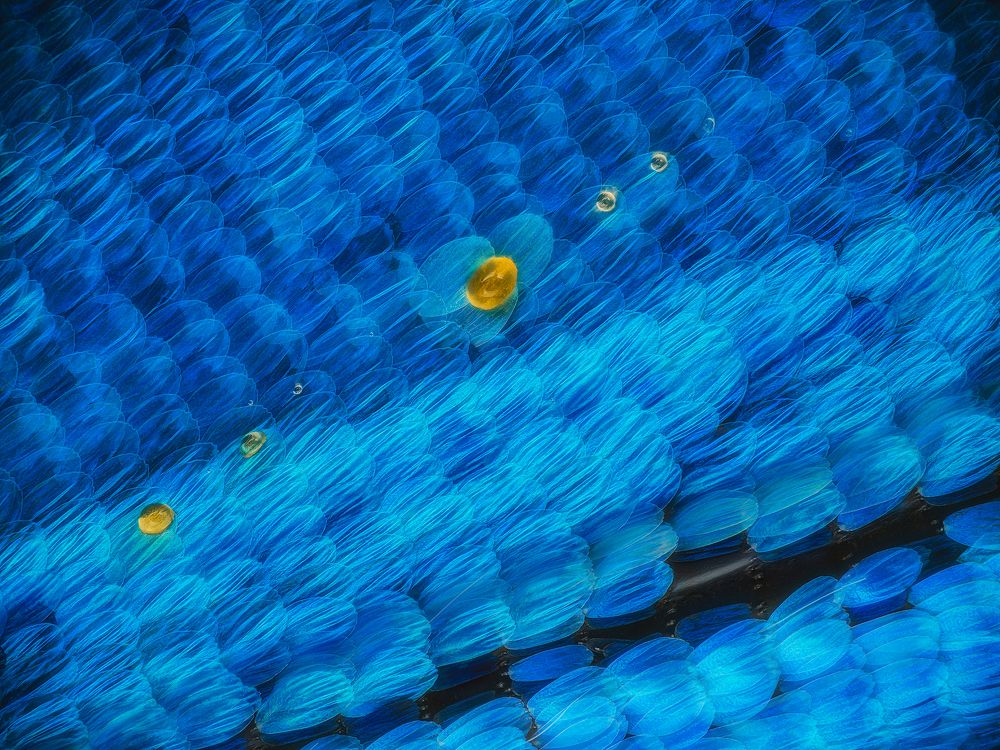 Photograph by 袁稷