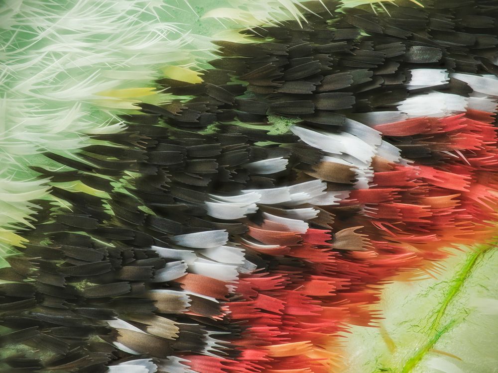 Photograph by 袁稷