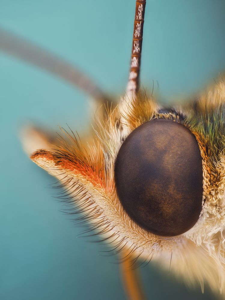 Photograph by 袁稷