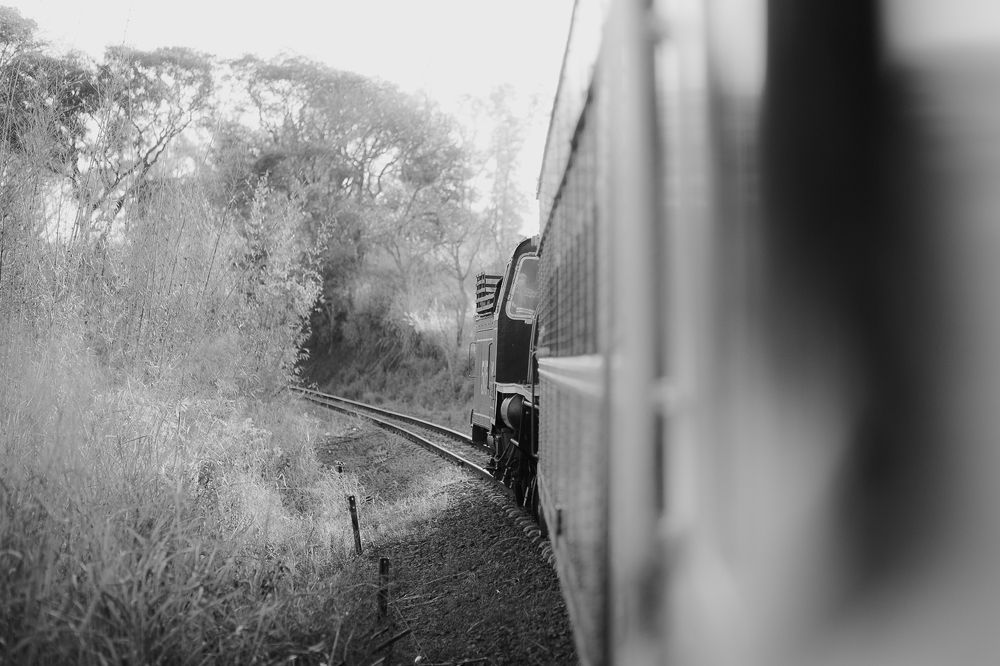 Photograph by Marcia Camargo