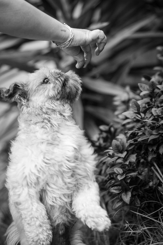 Photograph by Marcia Camargo