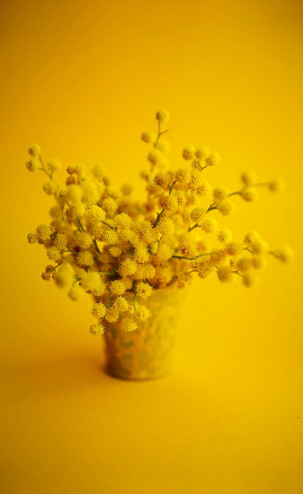 Photograph by Кристина Дугина