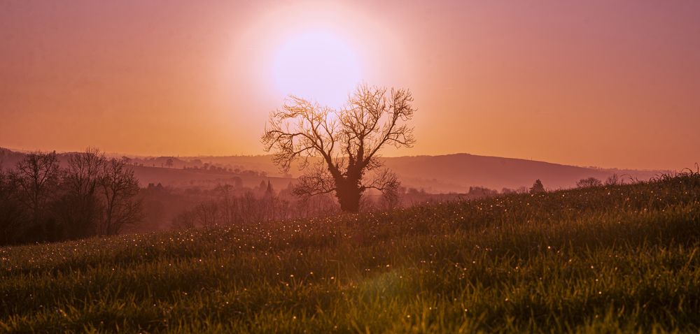 Photograph by Запылаева Анна