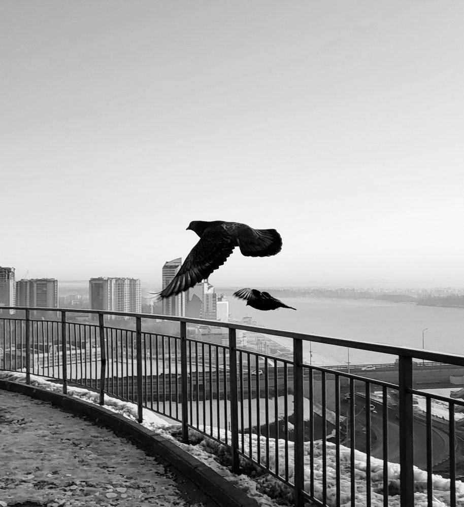 Photograph by Pavel Vorobev