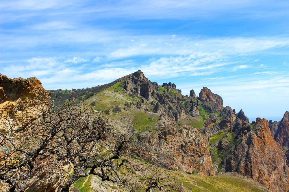 Photograph by Ирина Дмитриенко